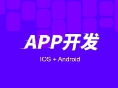 宁波软件开发公司
