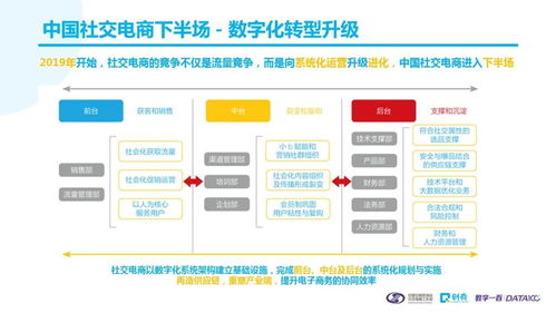 传统与创新进入融合时代 2020中国社交电商消费者购物行为研究报告