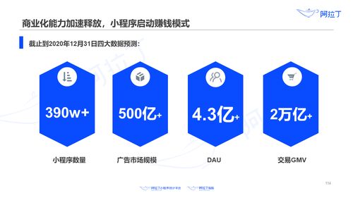 阿拉丁研究院 2020年上半年小程序互联网发展白皮书