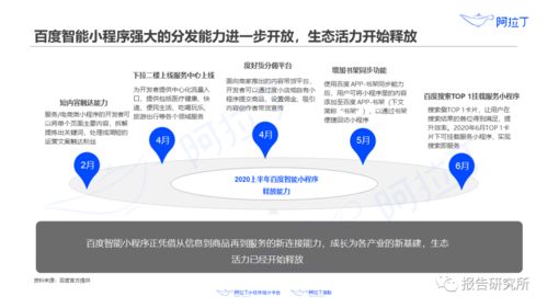 2020年上半年小程序互联网发展白皮书 