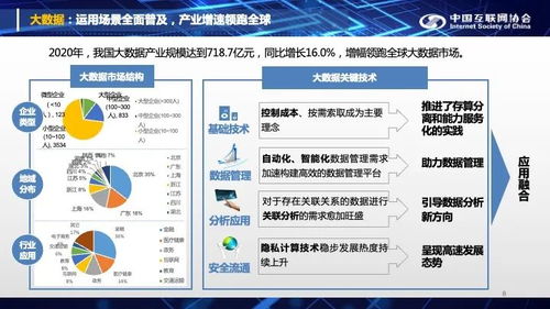 中国互联网发展报告 2021