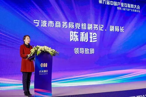 第六届中国产业互联网大会暨第三届宁波产业发展论坛在宁波隆重举行