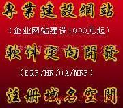 宁波 网站建设,网络推广,软件开发-宁波好的网络科技